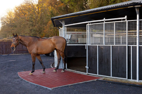 قیمت مناسب فرش ضد لغزش لاستیکی سفارشی نمونه های رایگان برای حفاظت از سطح برخط