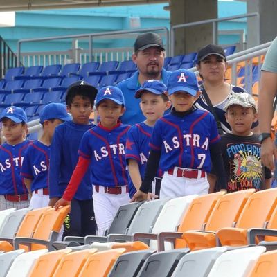 قیمت مناسب نوک تاشو پلاستیکی صندلی های ورزشی ورزشگاه ضد پیری ضد UV برخط