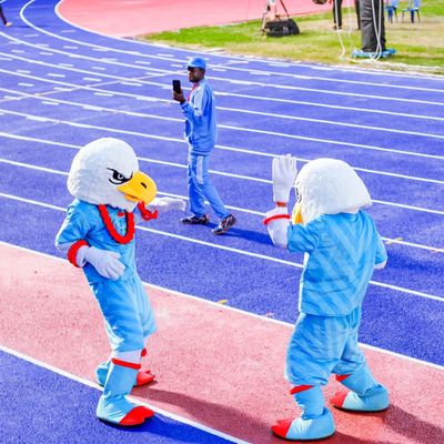 قیمت مناسب پیست ساندویچ غیر سمی، مسیر مسابقه دو و میدانی با گواهینامه IAAF برخط
