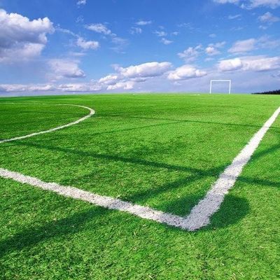 قیمت مناسب چمن مصنوعی زمین فوتبال ضد UV برای دکوراسیون محوطه سازی OEM ODM برخط