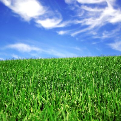 قیمت مناسب محوطه سازی چمن مصنوعی 50 میلی متری برای زمین فوتبال برخط
